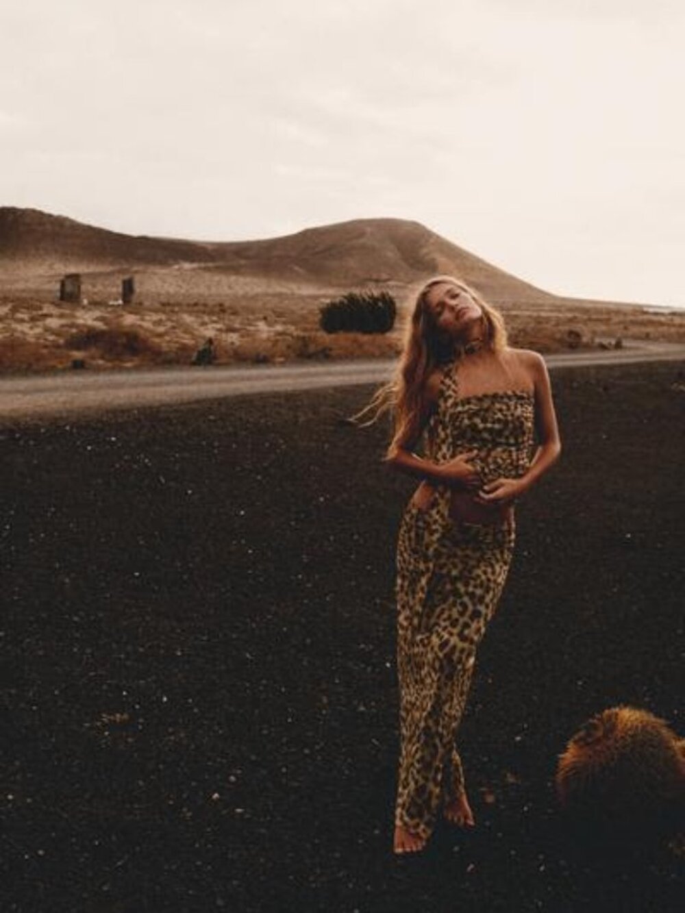 Zara Leopard Print Strapless Midi two piece set